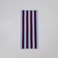 Thick Stripe Cotton Towel Set - Blue / Red